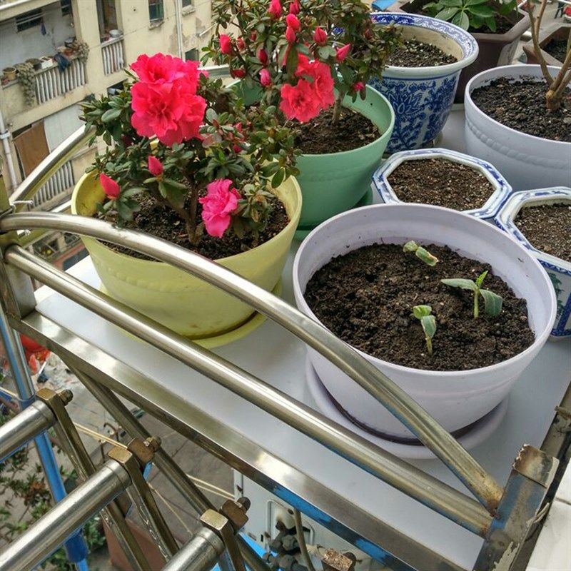 定制防盗窗垫板PP塑料塑胶置物架栏杆塑料板材窗台防护网遮挡板