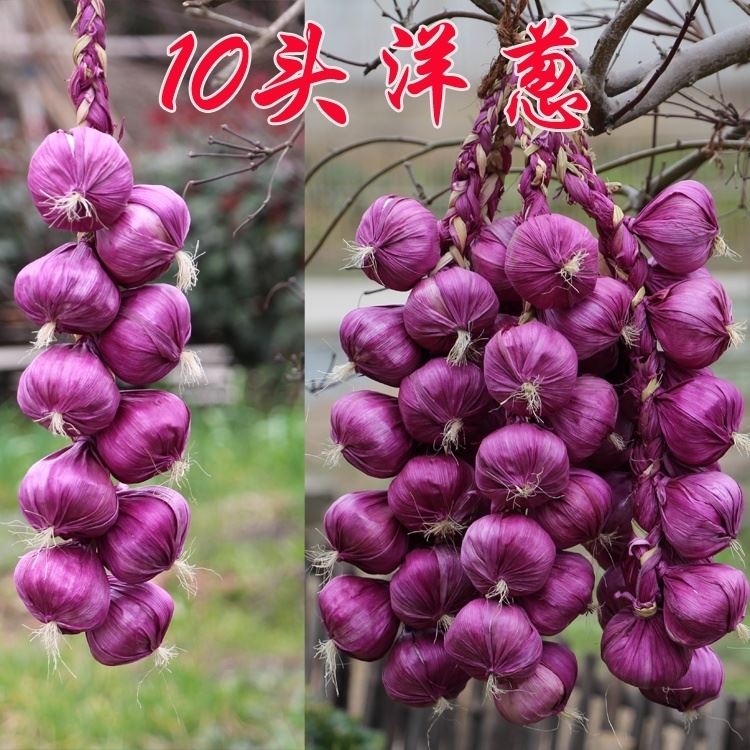 工厂销仿真蔬菜水果串农家乐v餐厅饭店装饰假辣椒大蒜仿真玉米花