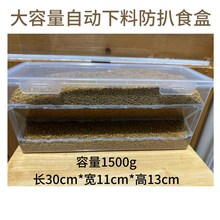 现货速发芦丁鸡超大号自动喂食器大容量防溅防刨透明食盒宠物鸡饲