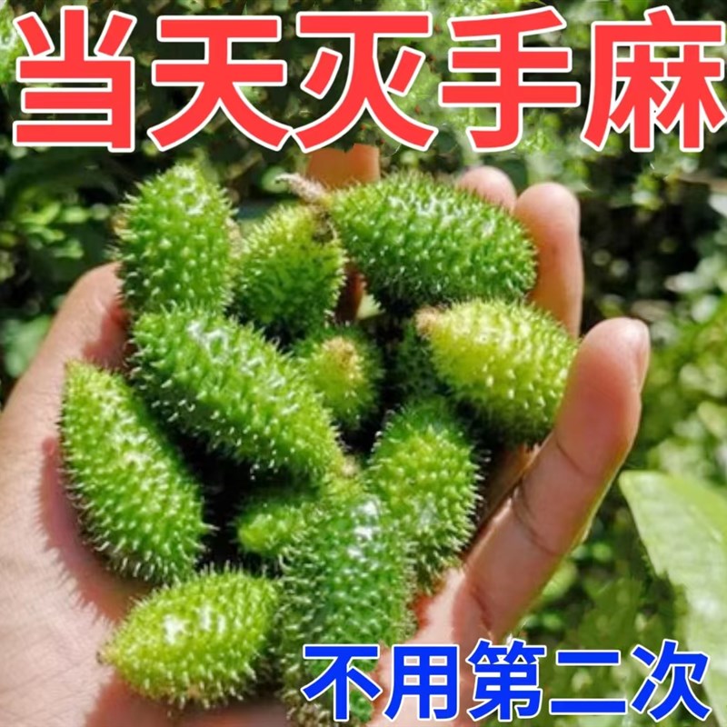 热销四肢麻木贴手脚发麻手臂酸胀脚麻腿麻抽筋颈椎压迫酸痛止麻专