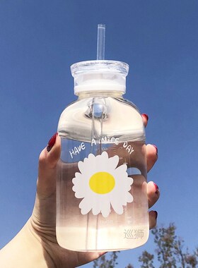480ml Flower Daisy Milk Juice Cute Water Bottle Frosted Glas