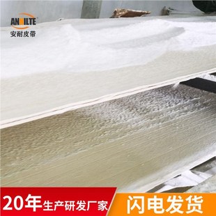 酯定制耐酸碱耐高温聚网方格环形输送带不格形变不龟裂