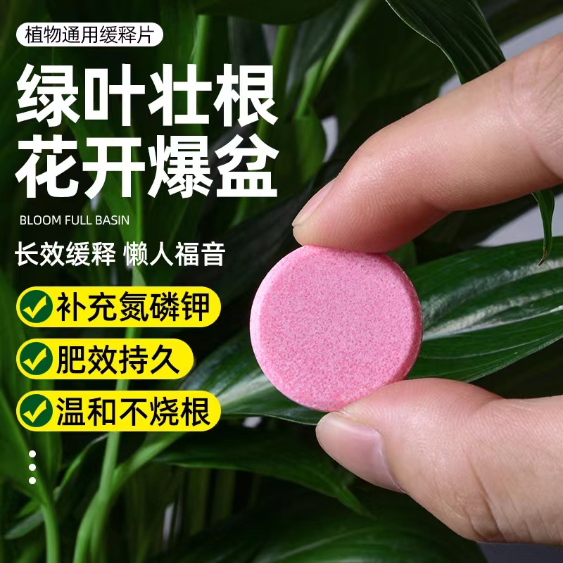 植物营养片通用型家庭园艺缓释肥养花肥料家用盆栽通用花卉果蔬肥