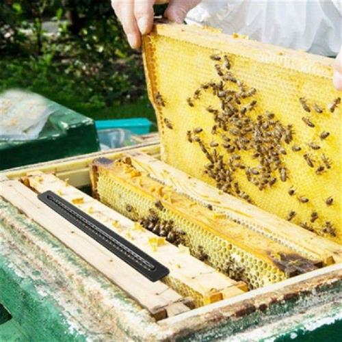 极速10Pcs Essential Hive Case Portable Beehive Case Effectiv