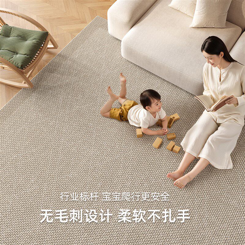 地毯客厅2025新款现代简约冰丝凉席榻榻米地垫卧室家用夏季免打理