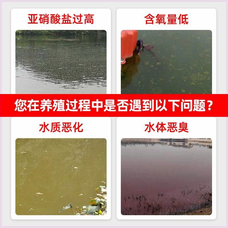 亚硝速净水产养殖降解亚硝酸盐净化水质亚硝克星鱼塘亚硝改底调水