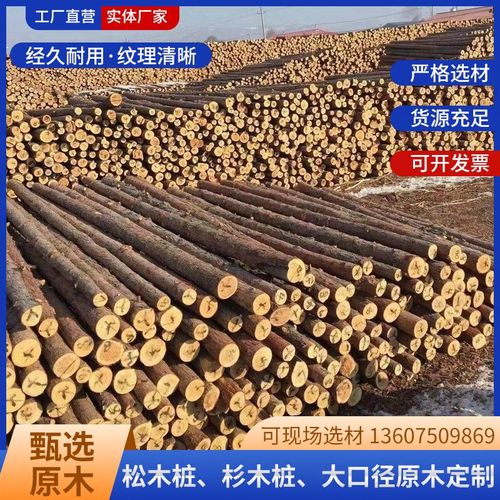 松木桩河道护坡民房基础加固打桩木水利工程防汛杉木桩围栏圆木桩