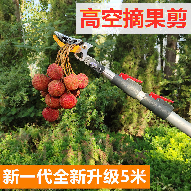 摘果神器修枝剪伸缩高空摘水果剪刀加长采摘器荔枝果子.龙眼高枝