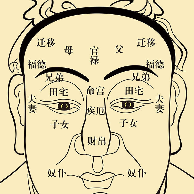 厂家面部十二宫图卷轴挂画面相图e易经文化传统丝绸装饰画定制