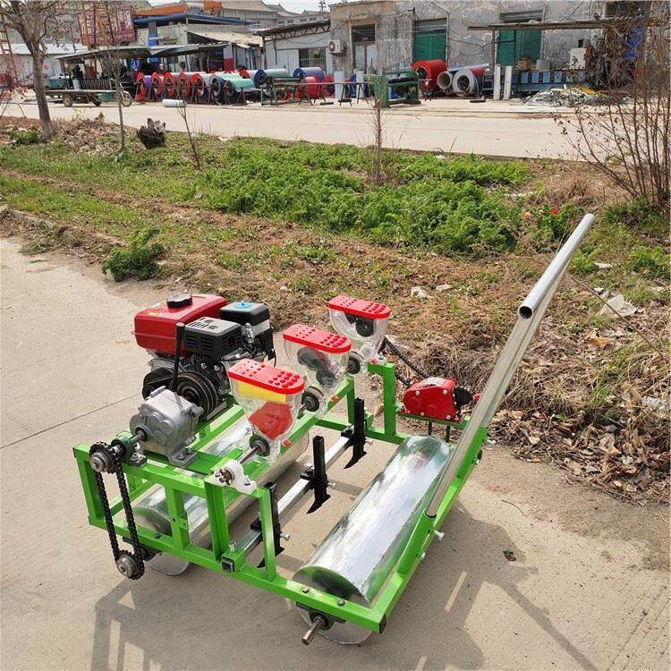 香菜精密播种机 小型手推蔬菜精播机 汽油自走式芹菜播种机