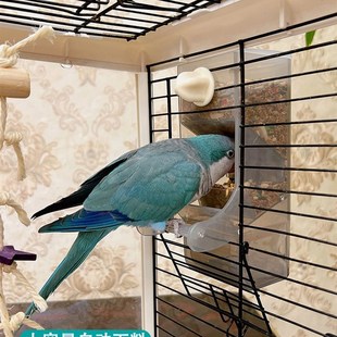 鹦鹉自动喂食器下料器防洒防溅防刨食牡丹玄凤虎皮鸟食盆鸟粮饭盆