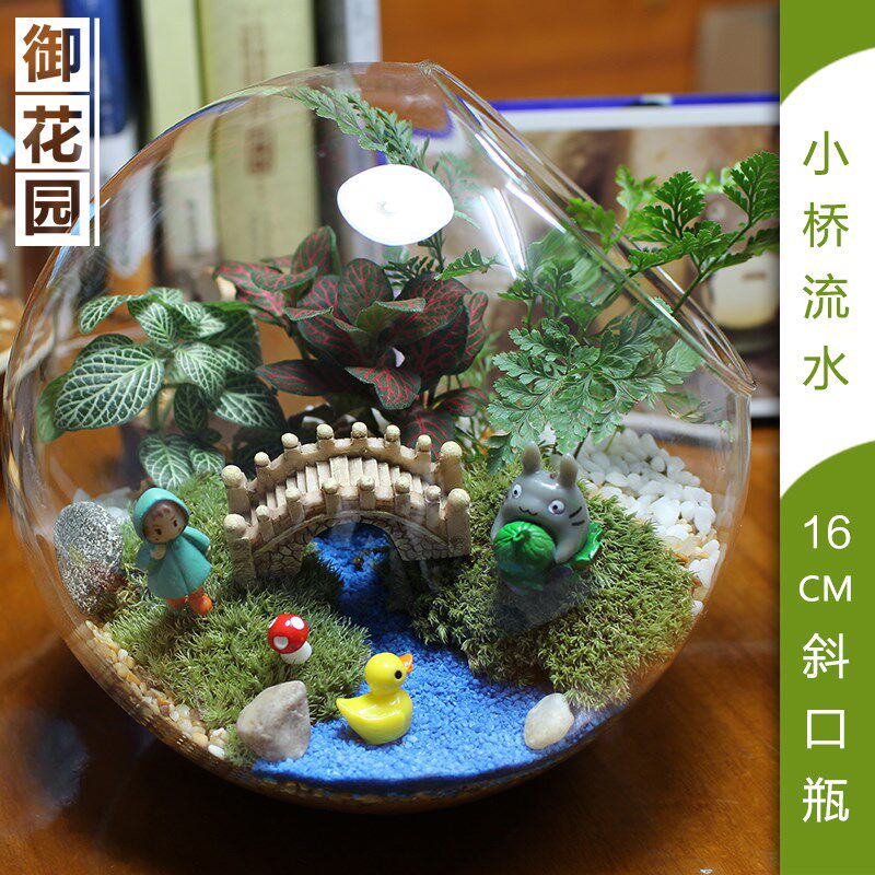小众高货暖场活动多肉苔藓微景观生态瓶植物玻璃盆栽DIY材料生日