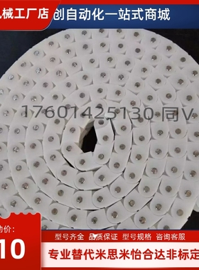 传送带用工程塑料块环链链条CHEEC40W/CHEED60 CHEE40 流水线