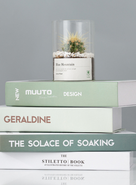 装饰书仿真书摆件假仿真品酒柜现代简约客厅架ins道具摆设北欧风