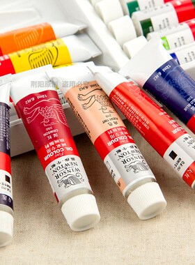 Professional Oil Paint Winsor and Newton for Oil Painting of