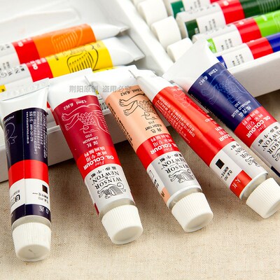 Professional Oil Paint Winsor and Newton for Oil Painting of