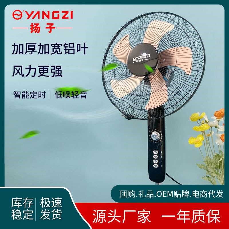 家用16英寸铝叶落地扇夏季家用大风力定时立式工业电风扇礼品