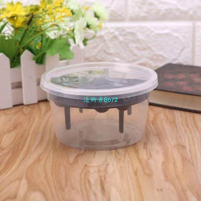 网红Reptile Egg Incubator Plastic Lizard Snake Gecko Eggs Ha