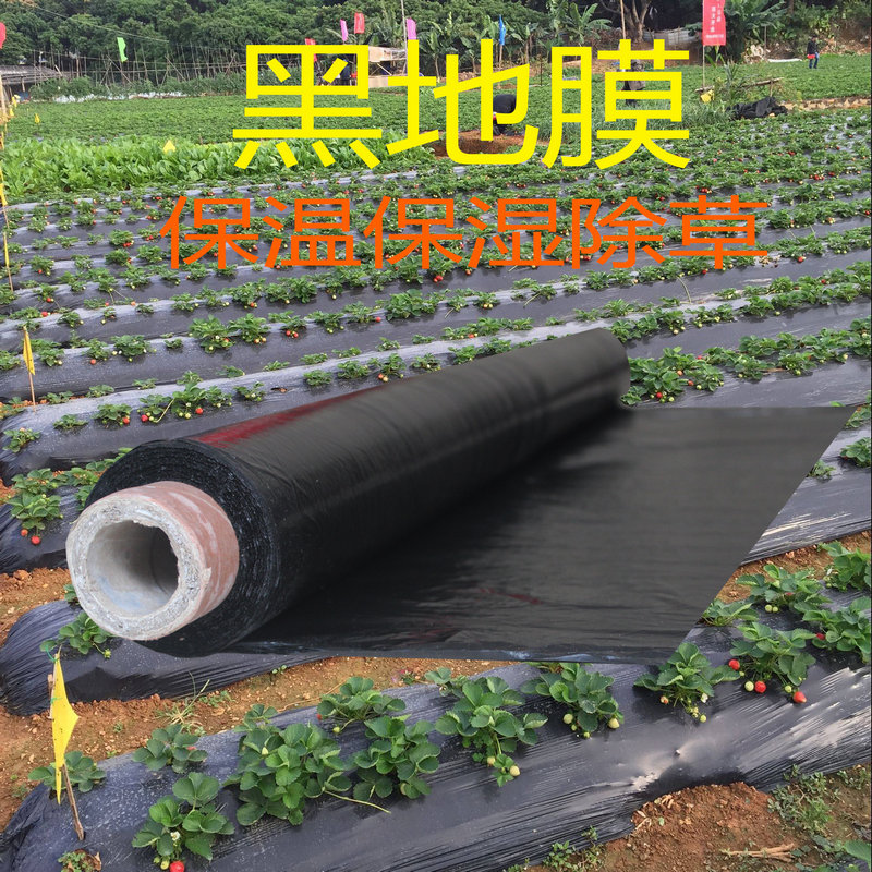 热销黑地膜除草膜农用加厚黑膜大棚蔬菜果园用保温保湿白膜银黑反