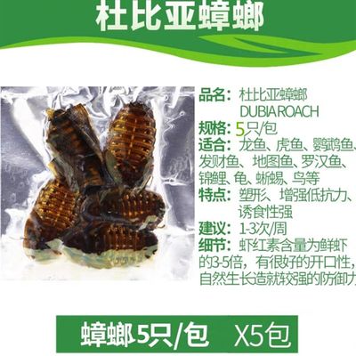 .包邮去粘液泥鳅l段麦穗鱼河虾冻林蛙发色鱼食饲鱼龟鱼魟鱼乌虎龙