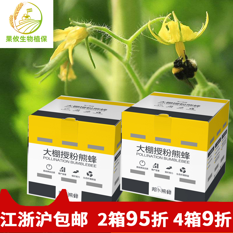 邦卜授粉熊蜂 花期授粉 草莓番茄茄子黄瓜授粉 4箱9折Z 包邮除偏 农用物资 授粉蜂 原图主图