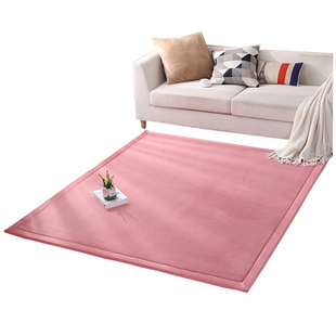 加厚地毯客厅飘窗卧室榻榻米地垫 防滑儿童爬行垫宝宝防摔床边毯