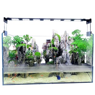 新款水陆缸造景套餐材料超白玻璃生态鱼缸生态雨林缸植物造景微景