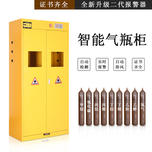 全钢带报警气瓶柜双瓶单瓶气瓶柜实验室乙炔液化气柜工业安全柜