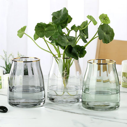 新品北欧创意描金透明玻璃花瓶家居客厅装饰摆件花瓶干花水养花瓶