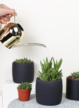 Watering Can Gold Color Stainless Steel Pot Long Spout Indoo