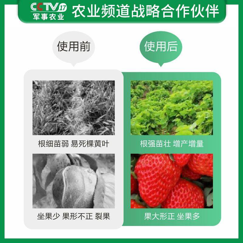 速发甲壳素海藻鱼蛋白冲施肥果树草莓柑橘生根膨果有机水溶肥桶装