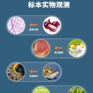 儿童显微镜倍专业科学器材生物实验套装初中版小学生益智玩具