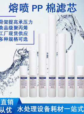 PP棉熔喷滤芯10寸20寸30寸保安精密过滤器滤芯食品级工业熔喷滤芯
