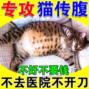 治猫传腹口服药猫咪消腹水乾性湿性猫肚子胀气不消化腹胀肾衰竭药