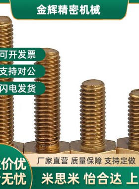 M3M4M5M6M8M10M12*25x30x35x40x45x50x60x70黄铜外六角螺丝钉螺栓