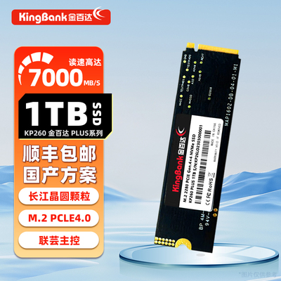 kingbank/金百达 M.2 2280固态硬碟 KP260 1TB 2TVB 长江储存4.0