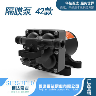 直流电瓶电动增压抽水泵压力开关型四腔高压隔膜自吸清水泵 42款