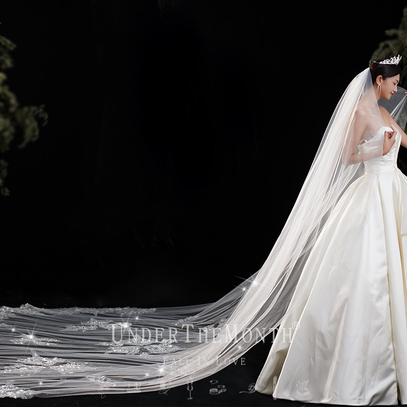 新品新娘结婚主婚纱头纱超仙森系网红拍照道具韩式长款大拖尾头纱
