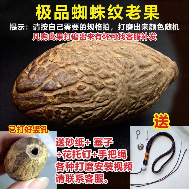 新品精品千眼菩提子原籽原料新果胖果超级大果按斤手把件绿色单颗