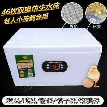 新品新水床孵化机家用i型鸡鸭鹅v孵化器B46枚小型90枚卵蛋箱全品