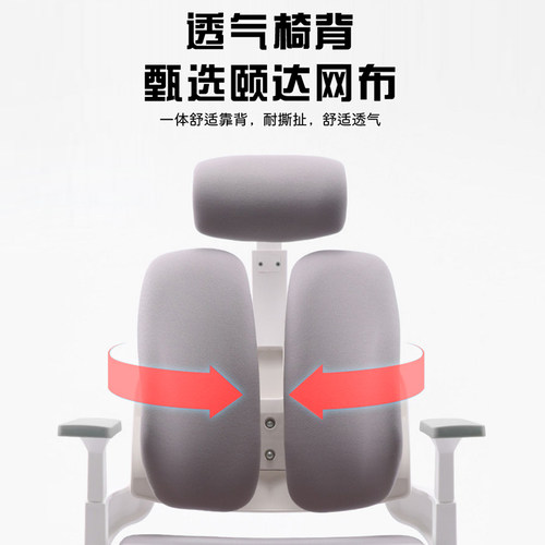 人体工学椅电竞电脑椅家用舒适久坐护腰学习椅书桌办公椅可躺椅子