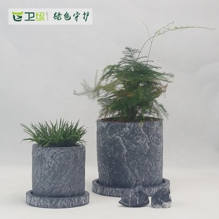 花卉室内老物水肉植桩薄荷创意复古圆柱Q君子兰多泥仿石头