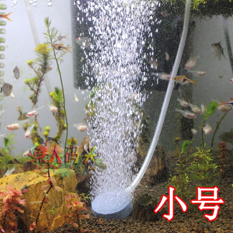 现货氧气泵用高温烧结气饼气盘 鱼缸 增氧泵 气泡石 小号 4厘米
