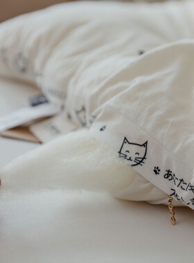 A类不染大豆被!白色冬被加厚2米C被芯纯棉空调被全棉春秋被子8斤