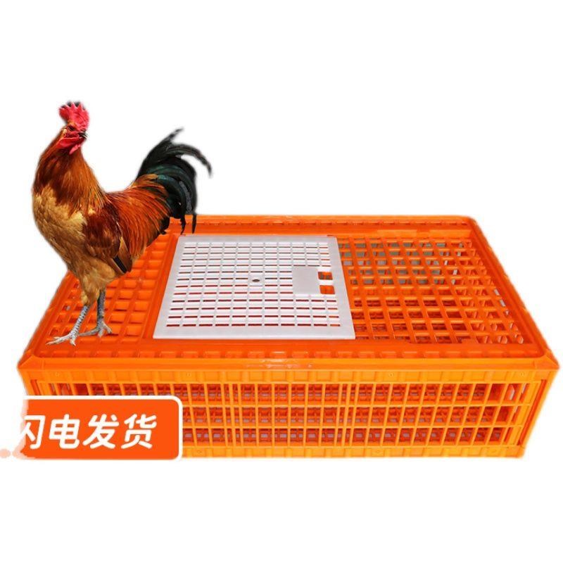鸡鸭鹅鸽子兔笼家用特大号养殖笼新款鸡笼运输笼塑料周转箱筐厂家