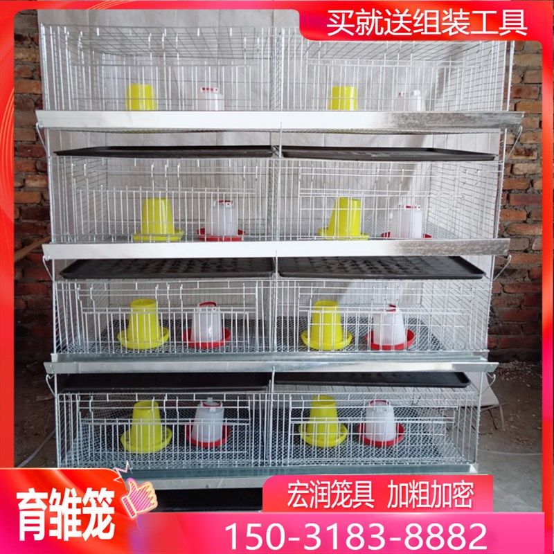 小鸡笼子育雏笼子多层新款养鸡笼家用脱温鸡笼养殖场专用育雏鸡笼