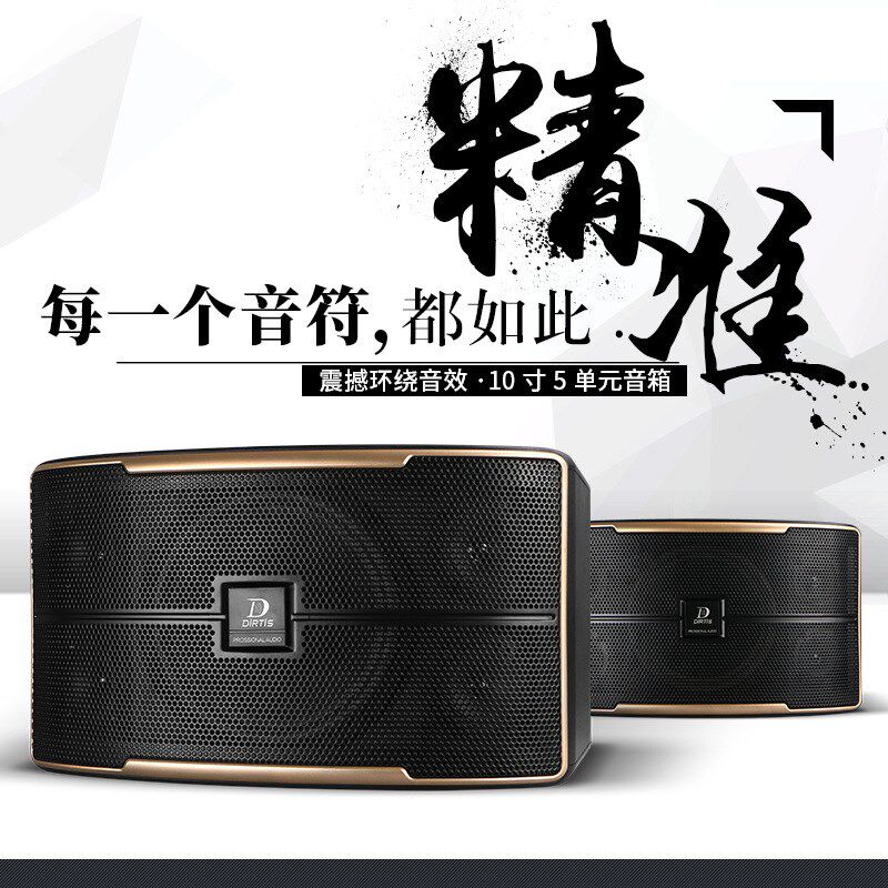 Pasion1010寸卡包音v响家庭KTV会议舞台酒吧包房卡拉OK音箱