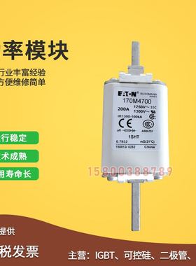 快速熔断器保险丝170M4763/4764/4765/4766/4767/4768/47X69/4770