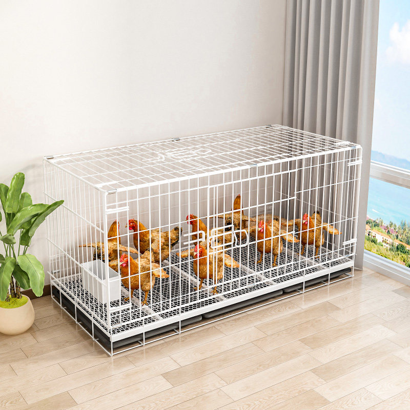 鸭子笼子专用宠物柯尔鸭家用养鸭笼室外鸡舍特大养殖自动清粪折叠