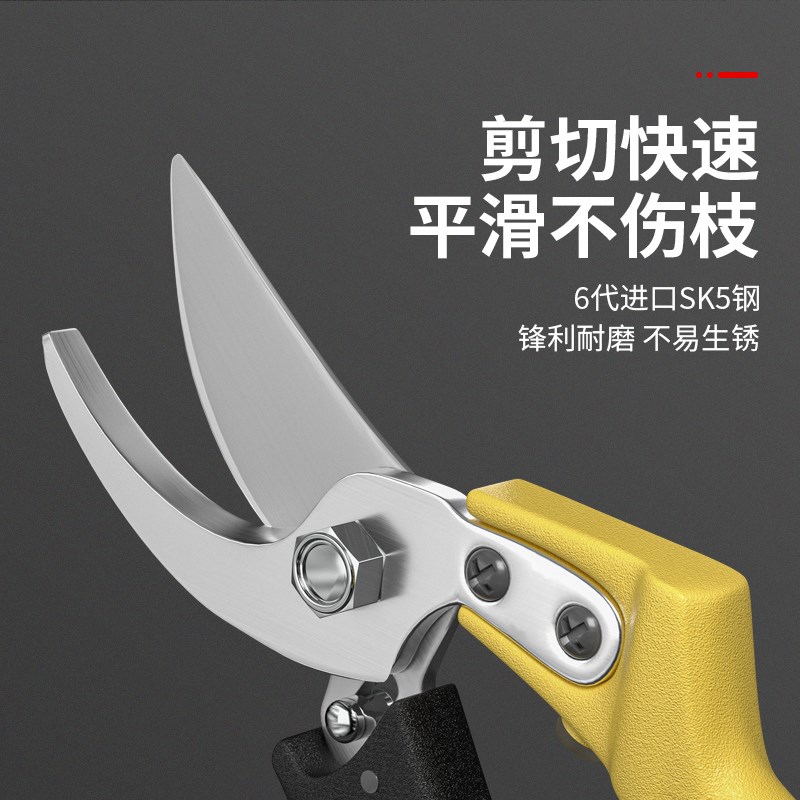 剪枝剪刀果树修枝剪园艺修剪专用修树枝剪子花卉树剪刀工具不锈钢